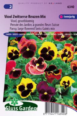 Violet, Pansy Swiss Giants (Viola wittrockiana) 160 seeds SL